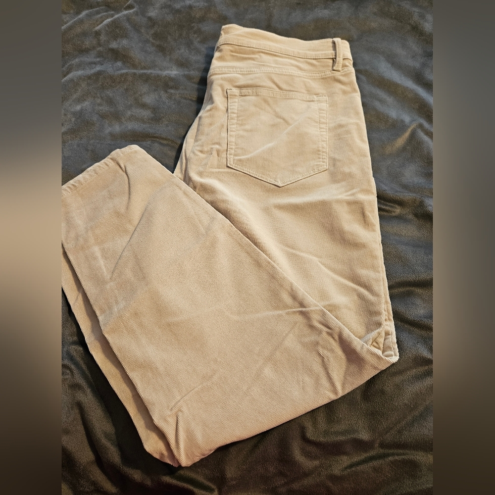 Loft women- corduroy pants